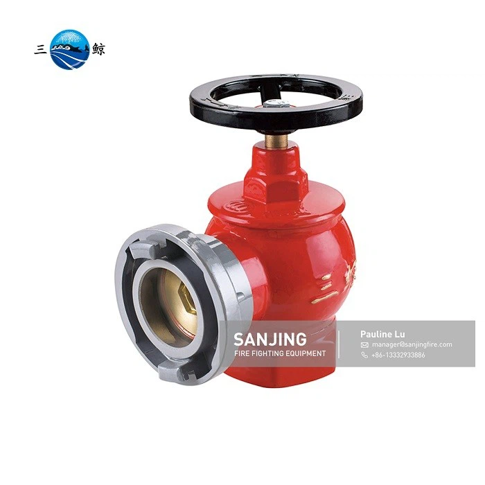 Building fire hydrant (2)